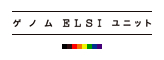 ELSI ˥åȡʵƣ